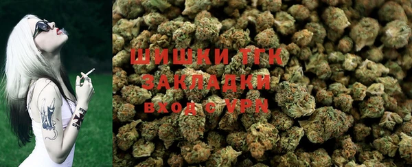 a pvp Белокуриха