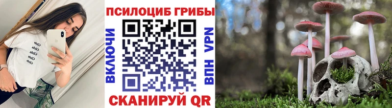 Псилоцибиновые грибы Psilocybe  магазин продажи   Куйбышев 